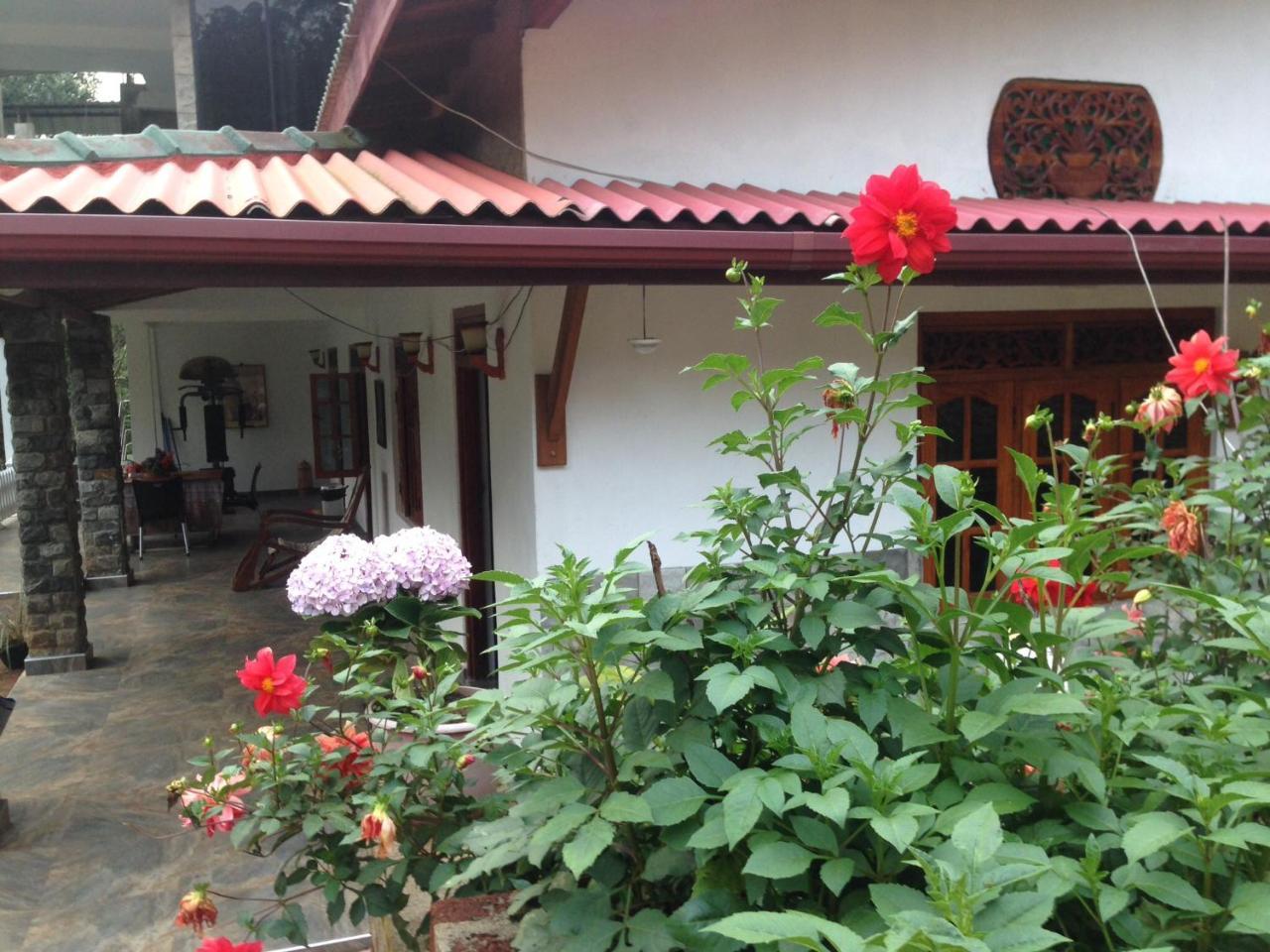Hamadhi Guest Otel Haldummulla Dış mekan fotoğraf